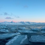 Langsam bildet sich Eis auf dem Fjord